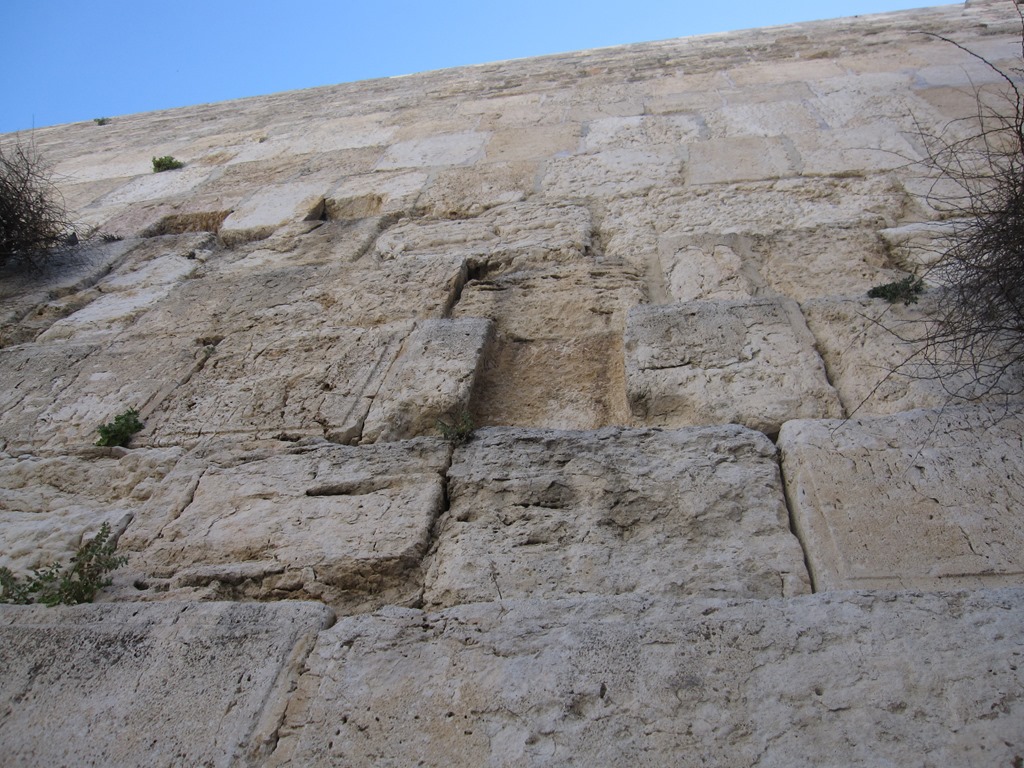 [IMG_4196%255B4%255D.jpg]