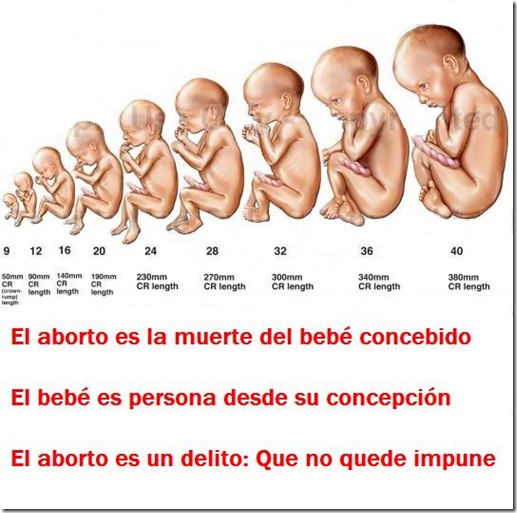 Abortar a un bebe