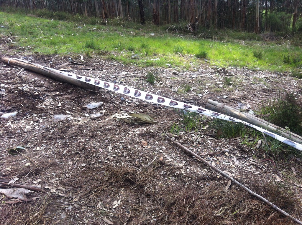 [IMG_2895%255B3%255D.jpg]