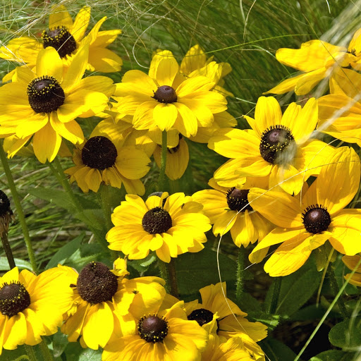 Hd-147508-ascw147508