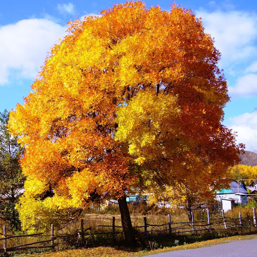 Hd-157619-ascw157619