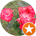 Image Google de patricia baston