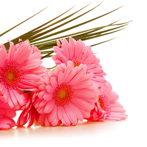 Hd-146384-ascw146384