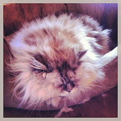 2013-01-24 Zell am See - 28