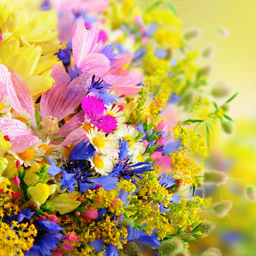 Hd-141730-ascw141730