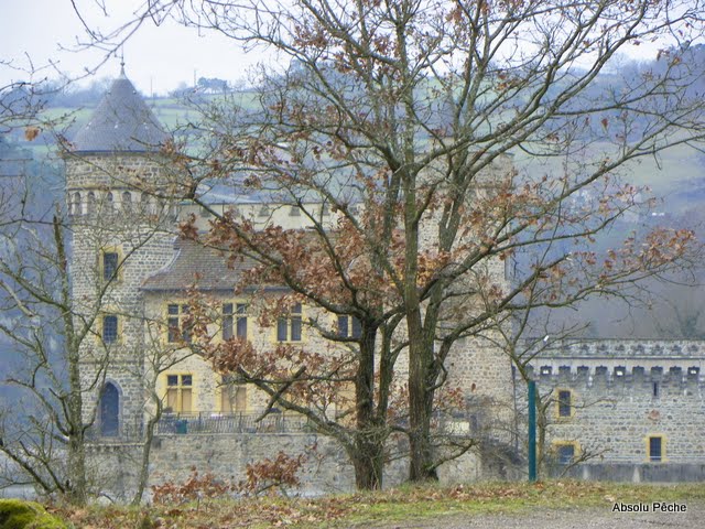 La Loire au château de la Roche photo #792