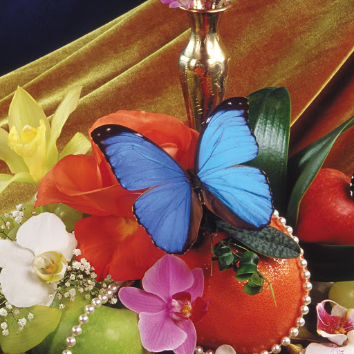 Hd-180393-ascw180393