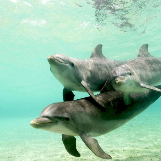 Hd-173886-ascw173886