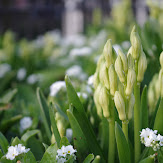 pentax_ks2_14.jpg