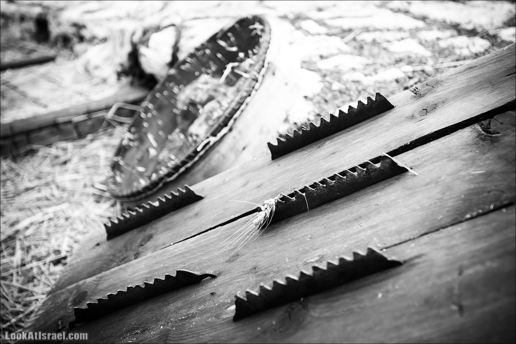 Неот Кдумим - Заповедник библейской природы | נאות קדומים