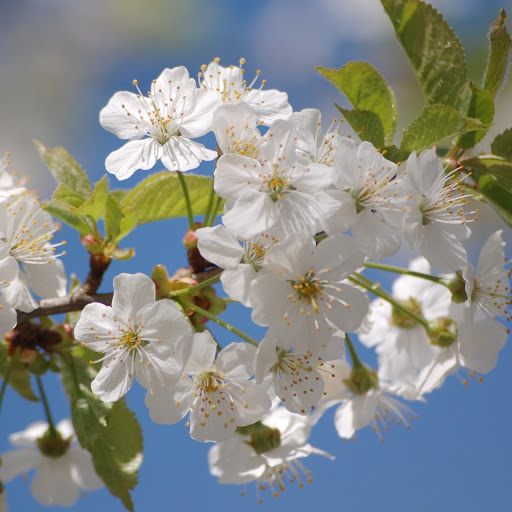 Hd-146608-ascw146608