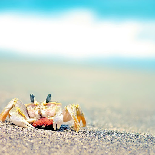 Hd-136526-ascw136526