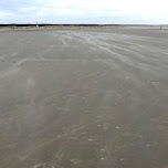 the beach sandstorm in IJmuiden, Netherlands 