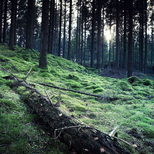 Hd-143146-ascw143146