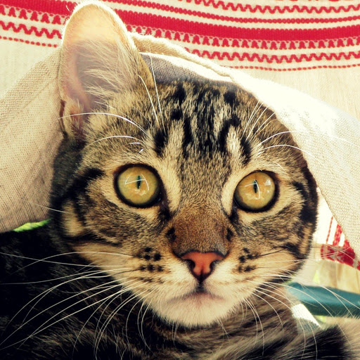 Hd-138930-ascw138930