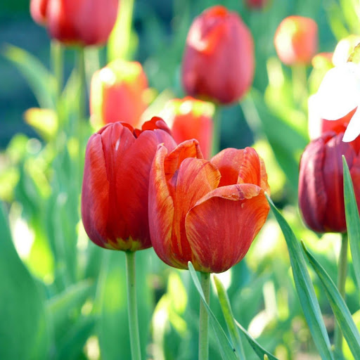 Hd-174238-ascw174238