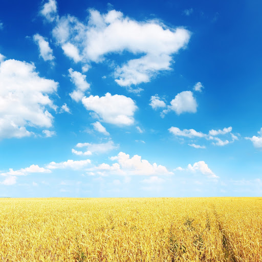 Hd-154385-ascw154385