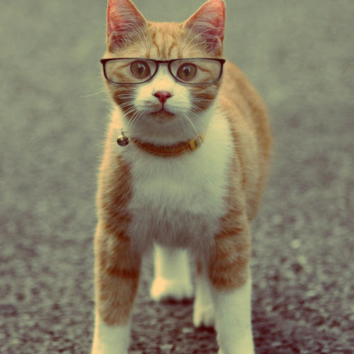 Hd-178251-ascw178251