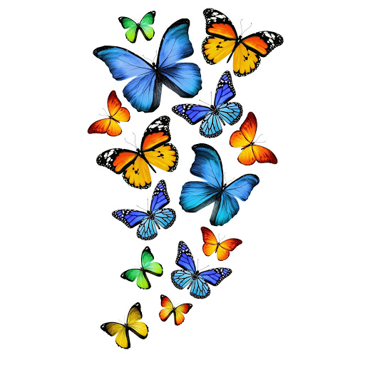 Hd-180163-ascw180163