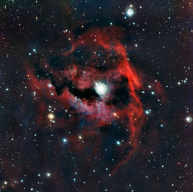 vista detalhada da cabeça da Nebulosa da Gaivota