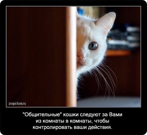 [clip_image041%255B3%255D.jpg]
