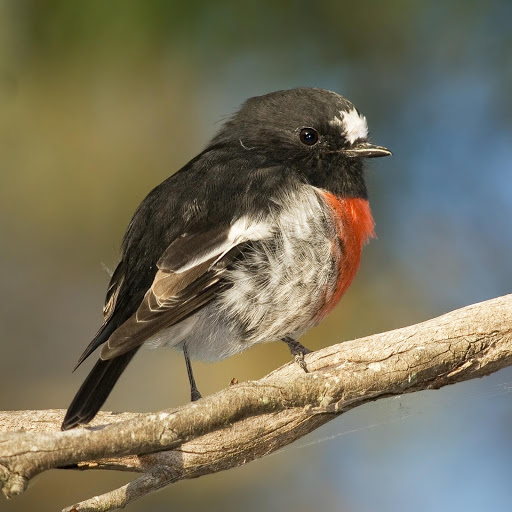 Hd-178057-ascw178057