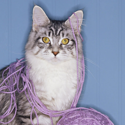 Hd-160107-ascw160107