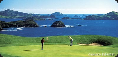 Kauri Cliffs