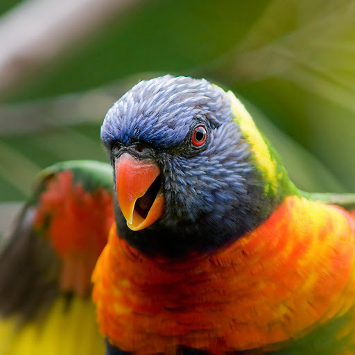 Hd-136402-ascw136402