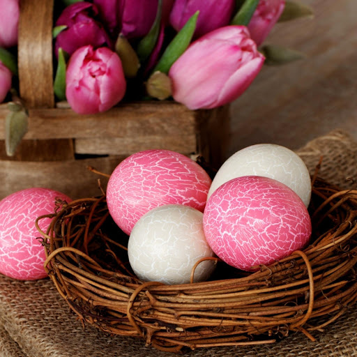 Hd-141519-ascw141519