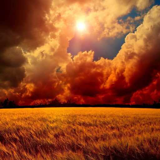 Hd-170168-ascw170168