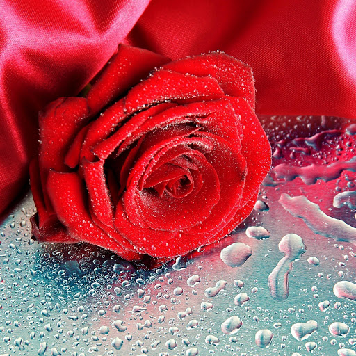 Hd-175342-ascw175342