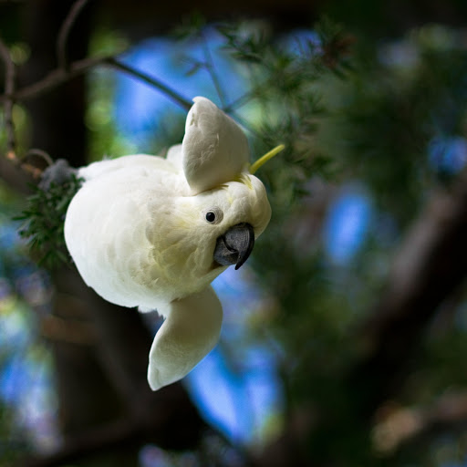 Hd-175209-ascw175209