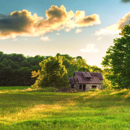 Hd-161137-ascw161137