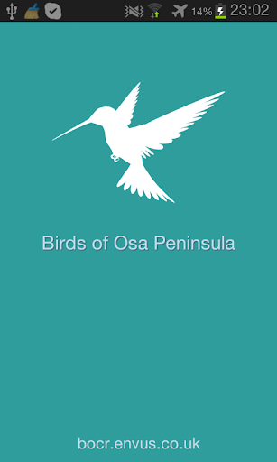 Birds of the Osa Peninsula