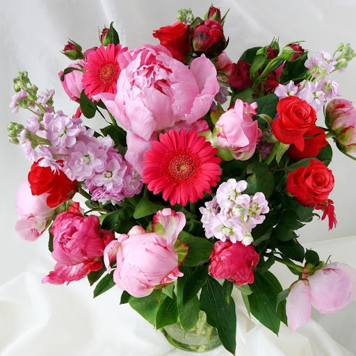 Hd-149200-ascw149200