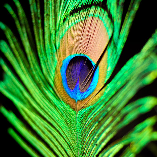 Hd-175143-ascw175143