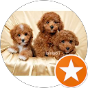 Image Google de roselyne gaillard emaure