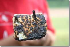 Burnt Marshamallow