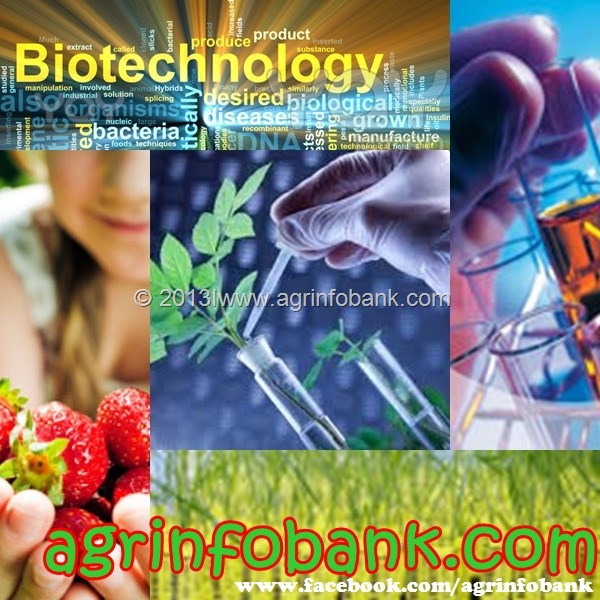 [Biotechnology%2520adoption%2520can%2520help%2520overcome%2520agriculture%2520challenges%255B13%255D.jpg]