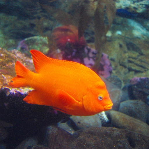 Hd-163740-ascw163740