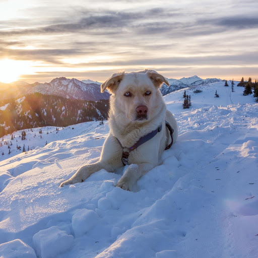 Hd-174813-ascw174813