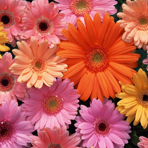 Hd-153328-ascw153328