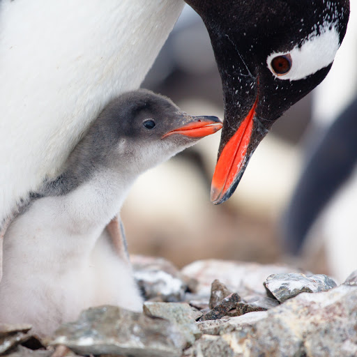 Hd-154699-ascw154699