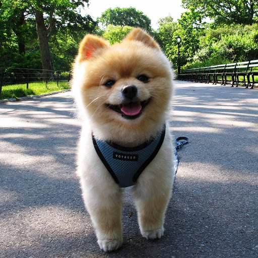 Hd-142198-ascw142198