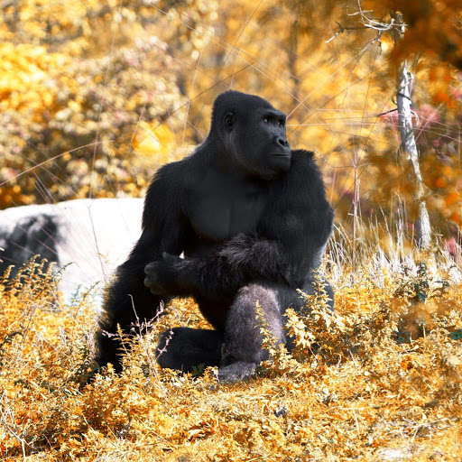 Hd-147313-ascw147313