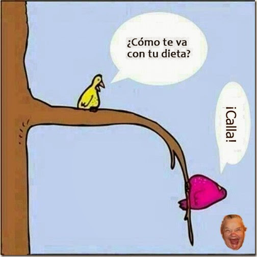 dieta 1