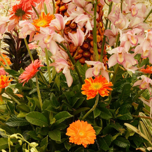 Hd-142337-ascw142337