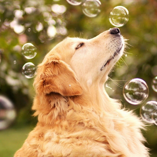 Hd-140358-ascw140358