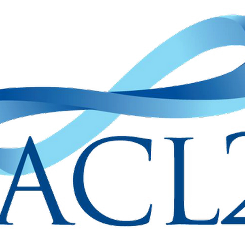 ACL2 es un demostrador automático de teoremas que asiste al usuario en dicha tarea